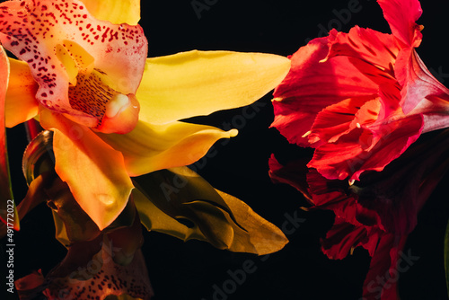 Flower composition. Floral art background. Orchid blossom reflecting on black mirror surface