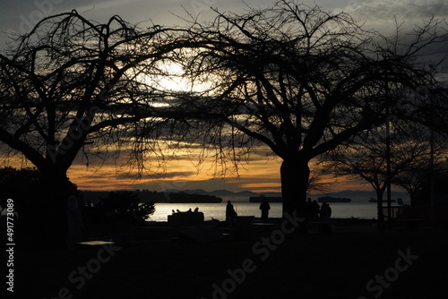 アンブルサイドビーチ　夕焼け　夕陽　眺め　風景　観光　旅行　散歩　バンクーバー　海辺 photo