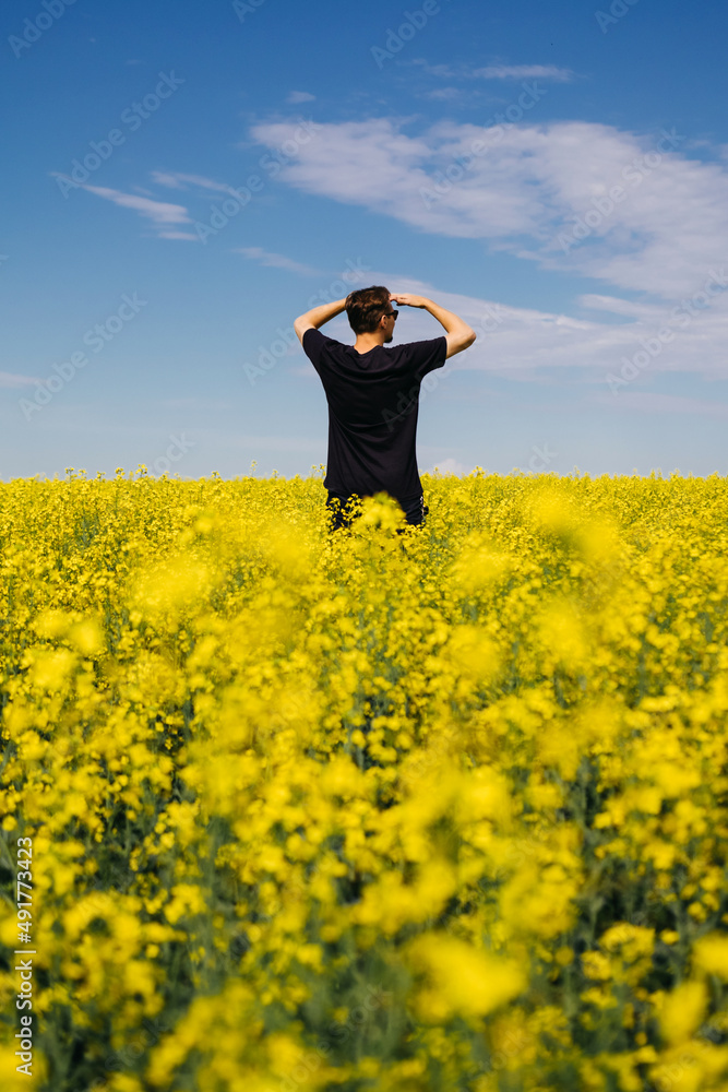 Man in black t-shirt is enjoying nature in the middle of field full of yellow flowers. Yellow field of flowering rapeseed with cloudy blue sky - brassica napus - plant for green energy, medicine. Man in black t-shirt is enjoying nature in the middle of field full of yellow flowers. Yellow field of flowering rapeseed with cloudy blue sky - brassica napus - plant for green energy, medicine.