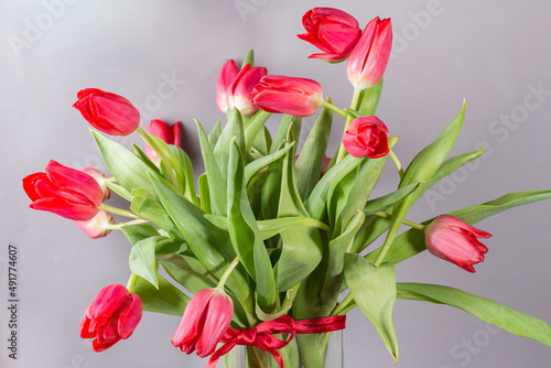 Bunch of spring tulips with red ribbon over gray background