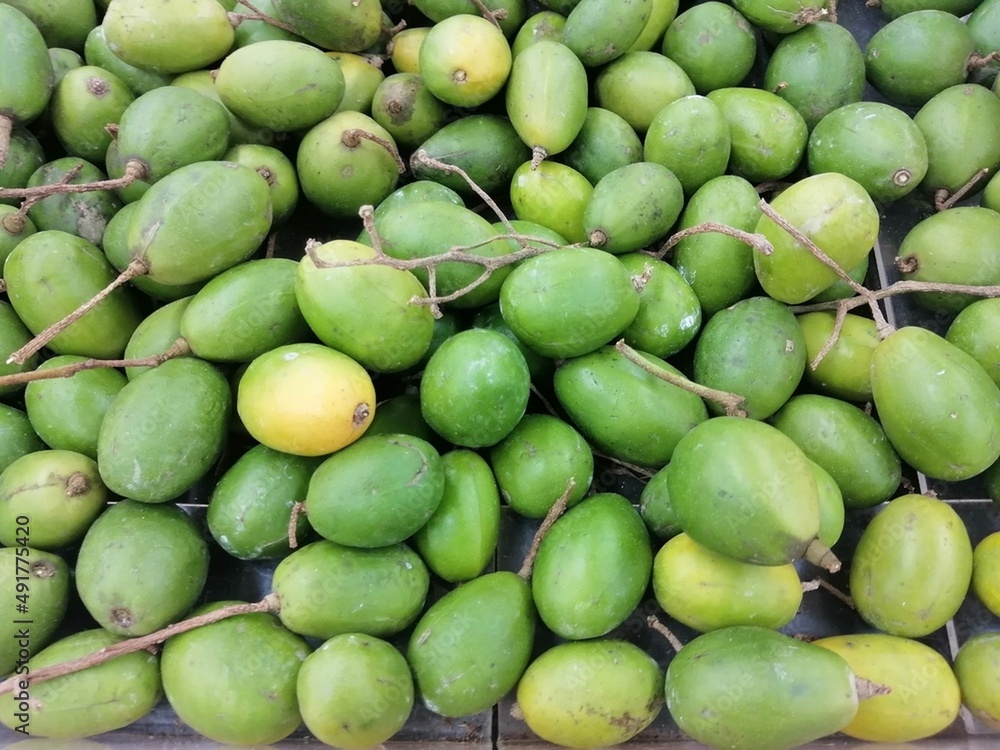 a bunch of fresh ambarella or kedondong or june plum or golden apple fruits sell at the market. fruit background. scientific name: Spondias dulcis a bunch of fresh ambarella or kedondong or june plum or golden apple fruits sell at the market. fruit background. scientific name: Spondias dulcis