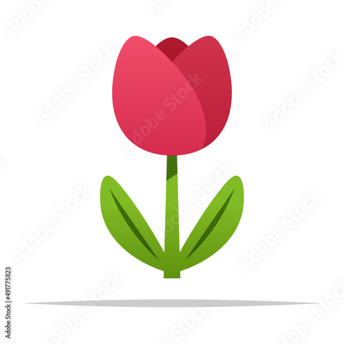 Pink tulip flower vector isolated illustration