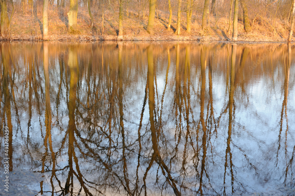 Trees reflecting in water in early spring in the evening near Chopin birth Place in Poland, Europe Trees reflecting in water in early spring in the evening near Chopin birth Place in Poland, Europe