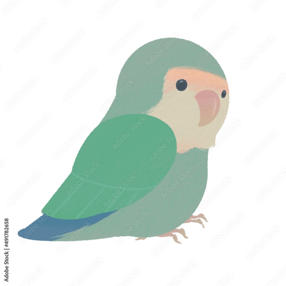 Fototapeta premium パステルカラーで優しい色合いのコザクラインコのイラスト