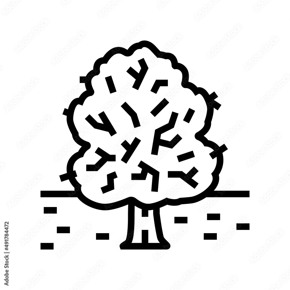 park tree line icon vector. park tree sign. isolated contour symbol black illustration park tree line icon vector. park tree sign. isolated contour symbol black illustration