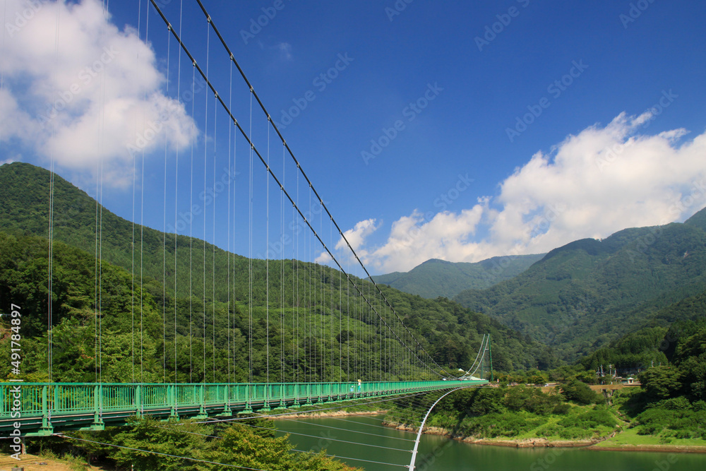 Obraz premium もみじ台大吊り橋