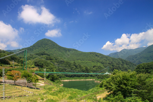 Wallpaper Mural もみじ台大吊り橋 Torontodigital.ca