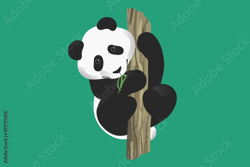 panda hugs tree and chews leaves