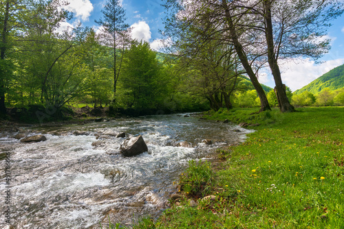 small mountain river flows through the valley. beautiful nature landscape in morning light. trees on the grassy shore. pasture meadow in the distance. warm sunny weather in spring