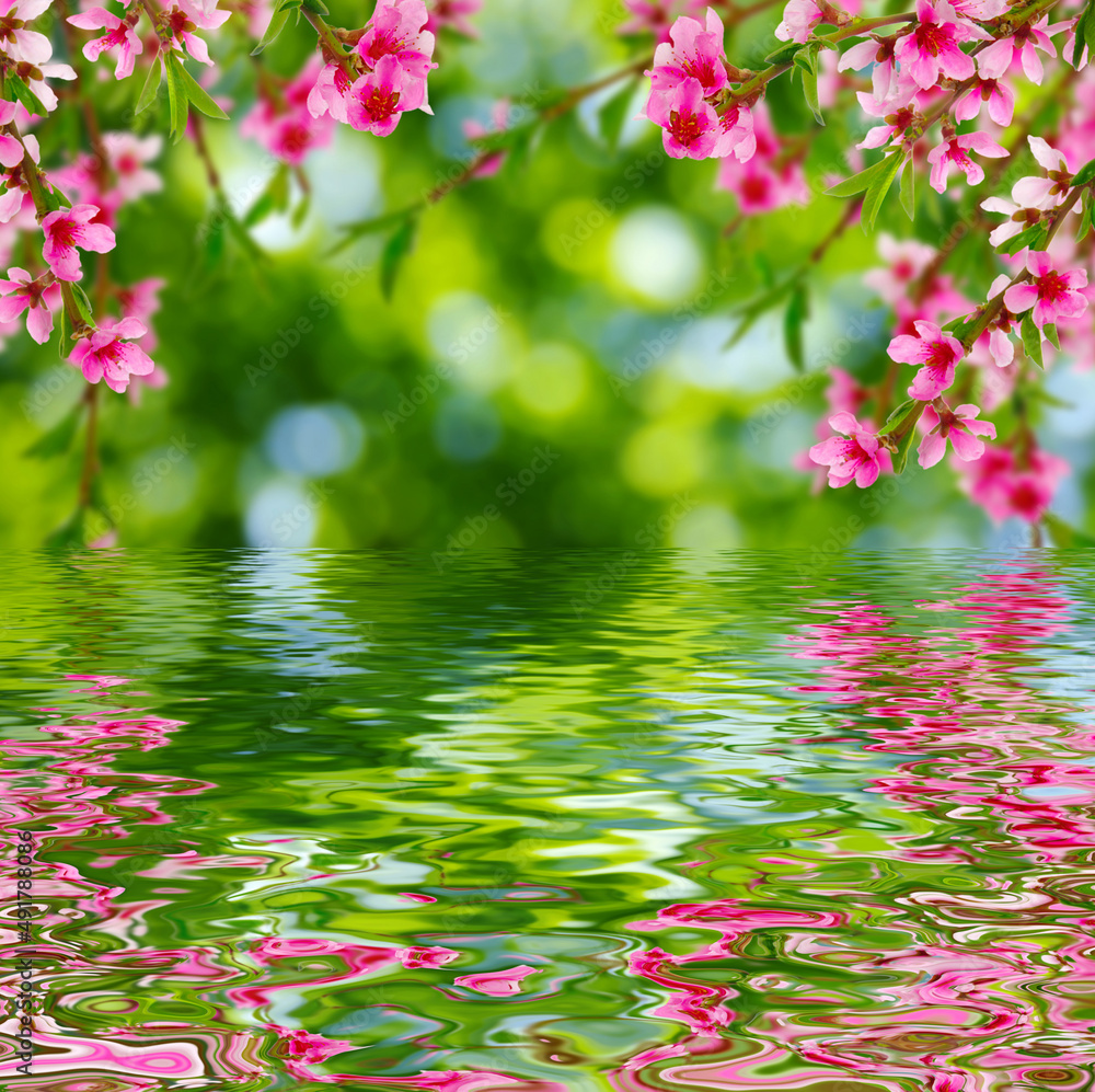 Spring bloom near the water Spring bloom near the water
