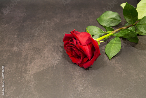 red rose on a dark gray marble background. The concept of grief and mourning