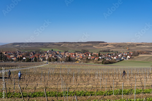 Wißberg bei Sankt Johann in Rheinhessen, März 2022 photo