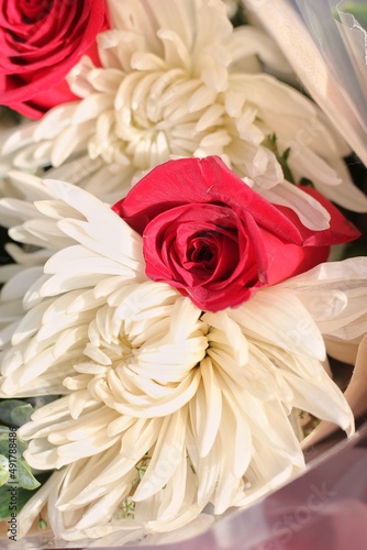 bouquet of red roses