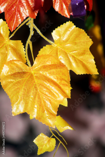 Artificial green and yellow leaves