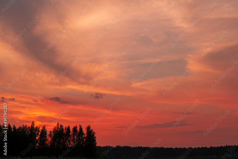Red, golden colors of clouds and the silhouette of pine trees, forests below. Bright, colorful sky during sunset. Summer mood time.