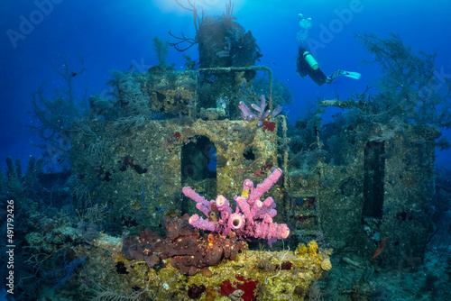 Картината върху платно Colorful corals at a sunken ship wreck in the Bahamas, Caribbean, with a scuba d