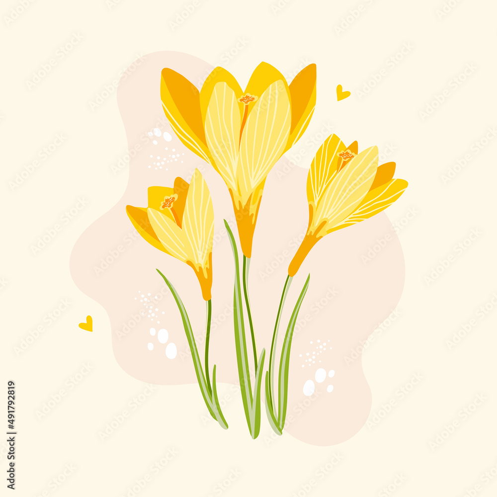 Beautiful spring snowdrops flowers. Yellow crocus flower. Design for poster, postcard, banner. Hand drawn vector illustration.