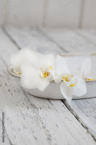 Minimalistic Zen Style Orchid Sill Life