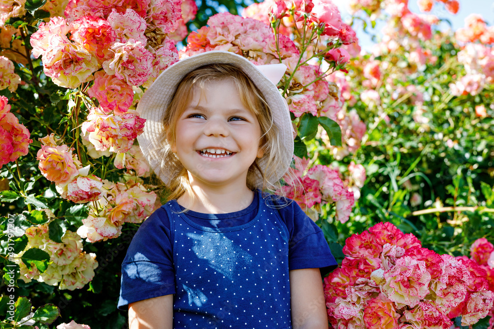 Portrait of little toddler girl in blossoming rose garden. Cute beautiful lovely child having fun with roses and flowers in a park on summer sunny day. Happy smiling baby. Portrait of little toddler girl in blossoming rose garden. Cute beautiful lovely child having fun with roses and flowers in a park on summer sunny day. Happy smiling baby.