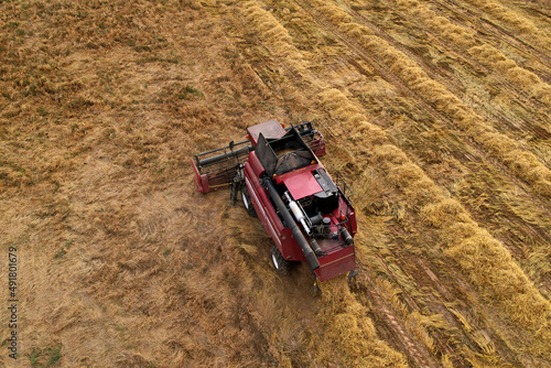 Spring wheat harwesting. Wheat and corn markets react in crisis world’s breadbasket. Wheat import, maize (corn), soybeans. Global crop prices in food crisis. Global food inflation and hunger. photo