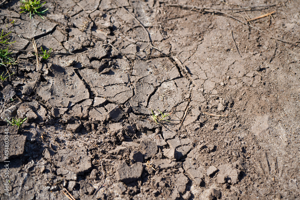 Close up of dry cracked soil Close up of dry cracked soil