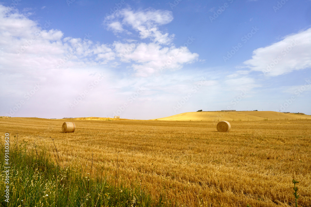 Country landscape near Matera and Gravina di Puglia