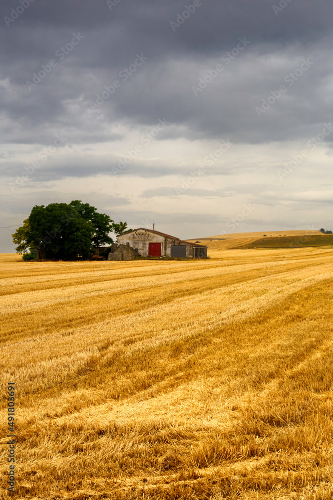 Country landscape in Basilicata, Italy, at summer