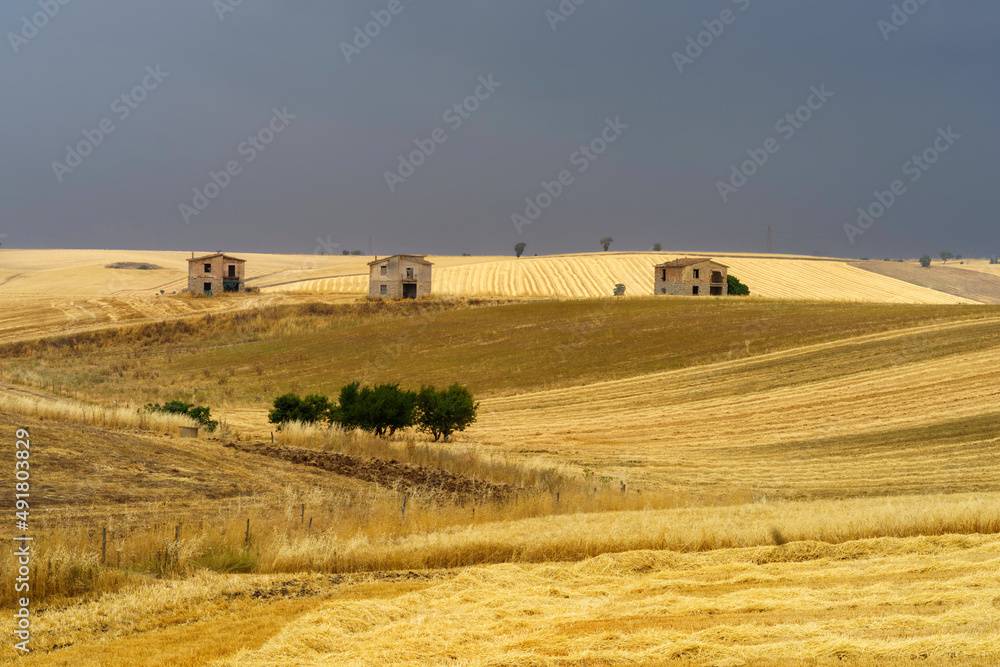Obraz premium Country landscape in Basilicata, Italy, at summer