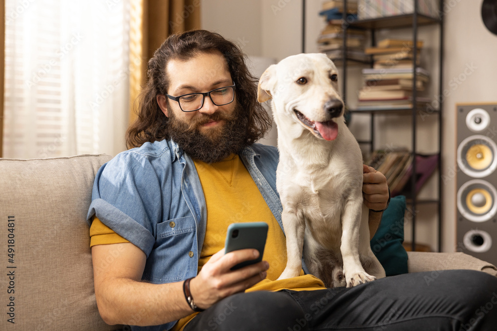 A bearded man browses the internet on a smartphone in the company of his dog. A contented middle-aged boy uses his phone while sitting on the living room couch. A bearded man browses the internet on a smartphone in the company of his dog. A contented middle-aged boy uses his phone while sitting on the living room couch.