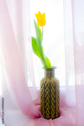 spring flowers yellow tulips on a soft pink background 