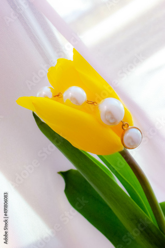 spring flowers yellow tulips on a soft pink background 