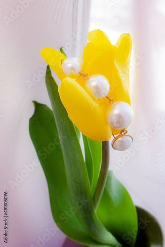 spring flowers yellow tulips on a soft pink background 