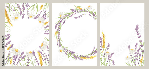 Birthday or Wedding invitation cards. Vector design element, wreaths of lavender, chamomile and wheat ears, medicinal herbs, calligraphy lettering.	