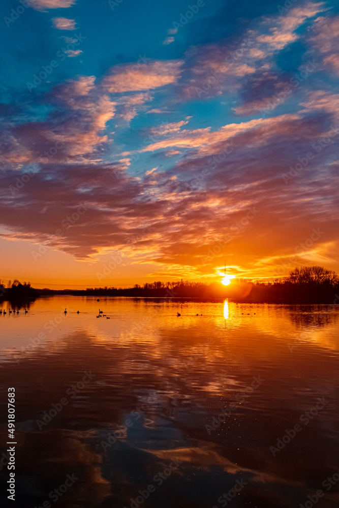 Beautiful sunset with swans, ducks and reflections near Plattling, Isar, Bavaria, Germany