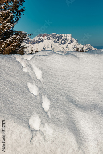 Beautiful winter wonderland at the famous Rossfeld panorama road near Berchtesgaden  Bavaria  Germany