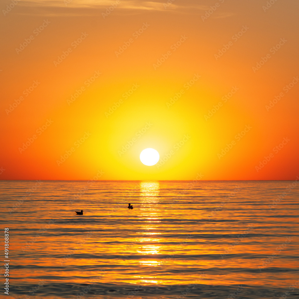 summer time orange sunset on seaside square