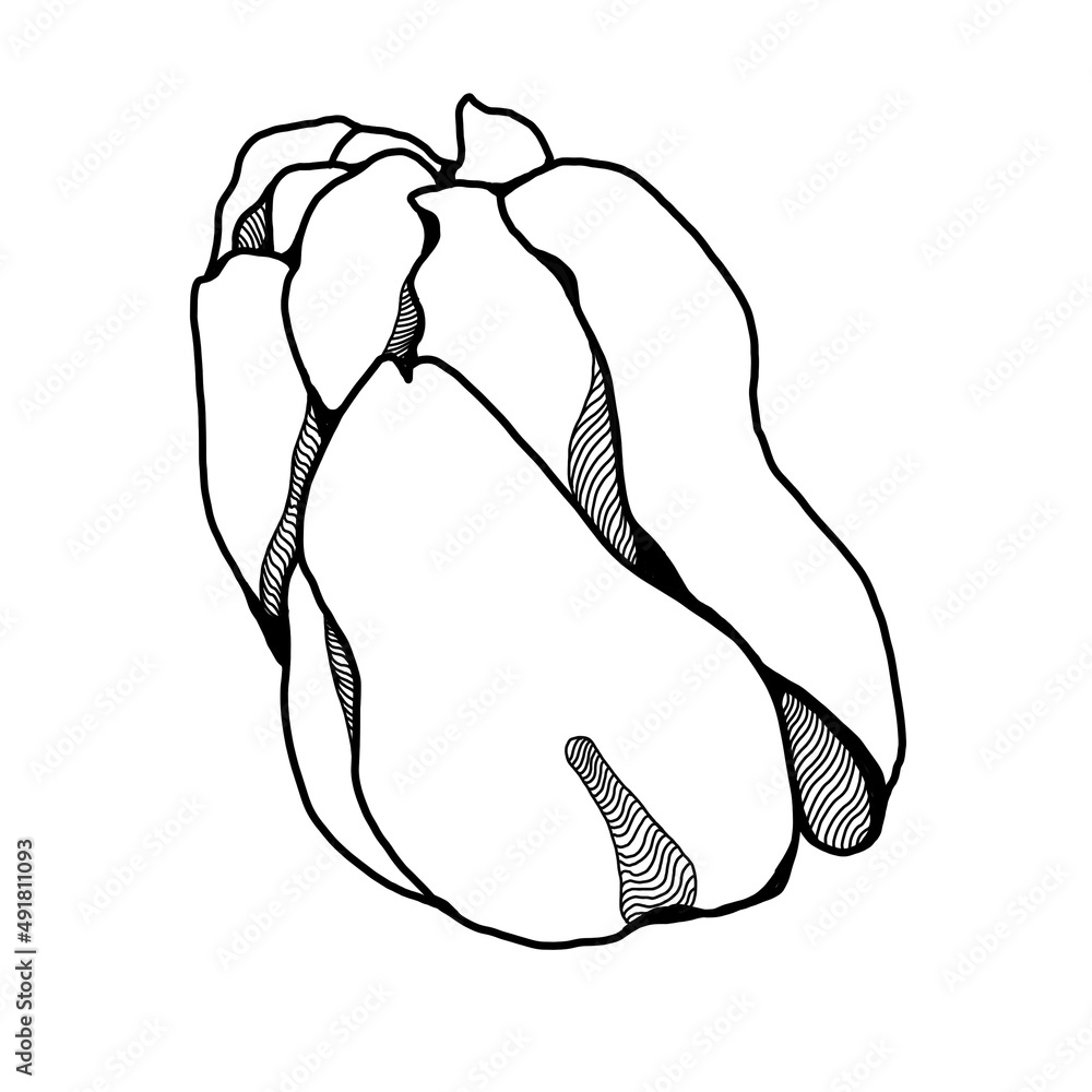 Hand drawing lineart flower izolated on whte background Hand drawing lineart flower izolated on whte background
