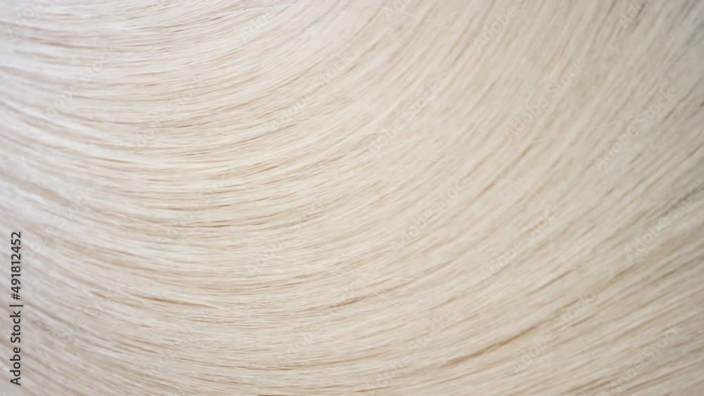 Flowing blonde hair texture on flat surface | Abstract hair background Flowing blonde hair texture on flat surface | Abstract hair background