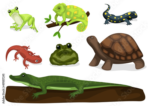 Reptiles and amphibians. Cartoon frog  chameleon  crocodile  lizard and turtle  wildlife animals. Cartoon exotic amphibian and reptiles