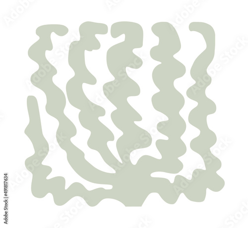 Seaweed Enteromorpha maeotica in a simple style inscribed in a square