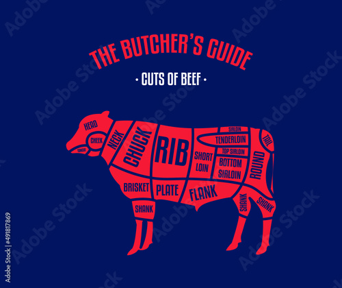 Meat and Beef cuts. Diagrams for butcher shop. Scheme of beef. Vector illustration. Beef butcher's guide. Used for cooking steak and roast - t-bone, rib eye, porterhouse, tomahawk, etc.
