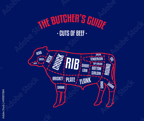 Meat and Beef cuts. Diagrams for butcher shop. Scheme of beef. Vector illustration. Beef butcher's guide. Used for cooking steak and roast - t-bone, rib eye, porterhouse, tomahawk, etc.