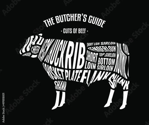 Meat and Beef cuts. Diagrams for butcher shop. Scheme of beef. Vector illustration. Beef butcher's guide. Used for cooking steak and roast - t-bone, rib eye, porterhouse, tomahawk, etc.