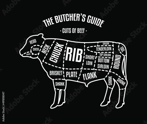 Meat and Beef cuts. Diagrams for butcher shop. Scheme of beef. Vector illustration. Beef butcher's guide. Used for cooking steak and roast - t-bone, rib eye, porterhouse, tomahawk, etc.