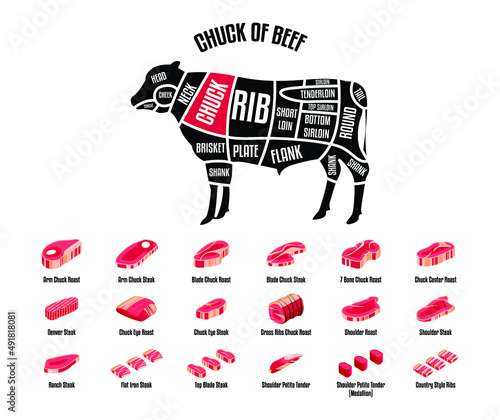 Meat and Beef cuts. Diagrams for butcher shop. Scheme of beef. Vector illustration. Beef butcher's guide. Used for cooking steak and roast - t-bone, rib eye, porterhouse, tomahawk, etc.