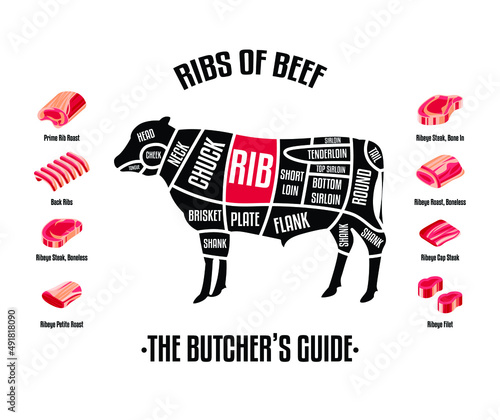 Meat and Beef cuts. Diagrams for butcher shop. Scheme of beef. Vector illustration. Beef butcher's guide. Used for cooking steak and roast - t-bone, rib eye, porterhouse, tomahawk, etc.