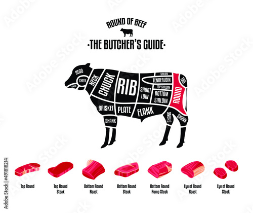 Meat and Beef cuts. Diagrams for butcher shop. Scheme of beef. Vector illustration. Beef butcher's guide. Used for cooking steak and roast - t-bone, rib eye, porterhouse, tomahawk, etc.