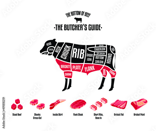 Meat and Beef cuts. Diagrams for butcher shop. Scheme of beef. Vector illustration. Beef butcher's guide. Used for cooking steak and roast - t-bone, rib eye, porterhouse, tomahawk, etc.