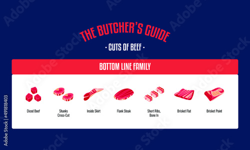 Meat and Beef cuts. Diagrams for butcher shop. Scheme of beef. Vector illustration. Beef butcher's guide. Used for cooking steak and roast - t-bone, rib eye, porterhouse, tomahawk, etc.