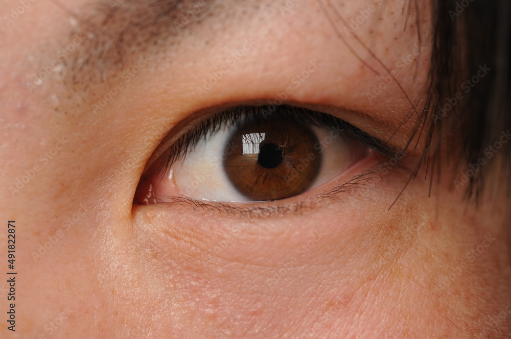 Obraz premium 目 瞳 女性